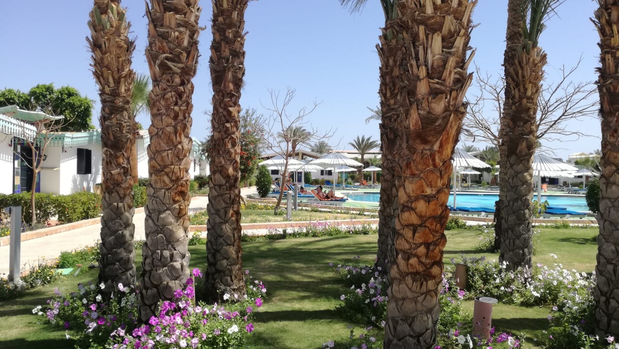 Spaziergang durch die schöne Anlage Ghazala Beach