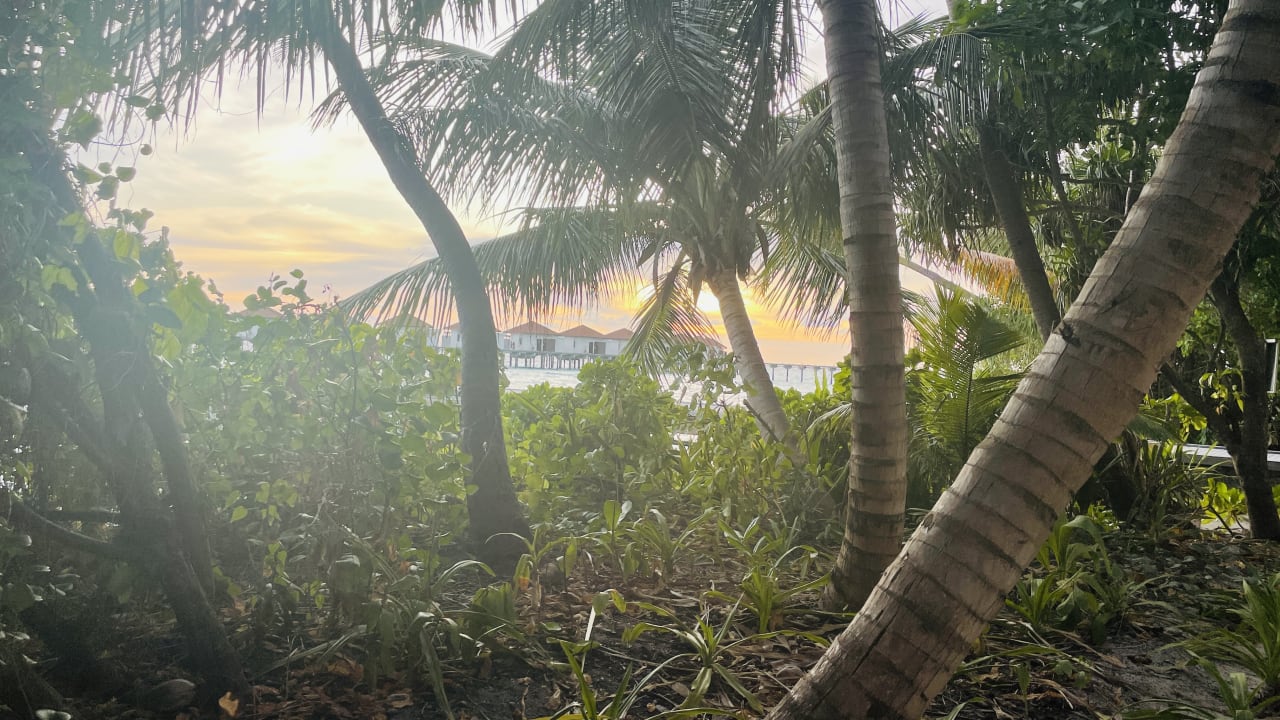 Gartenanlage ROBINSON MALDIVES