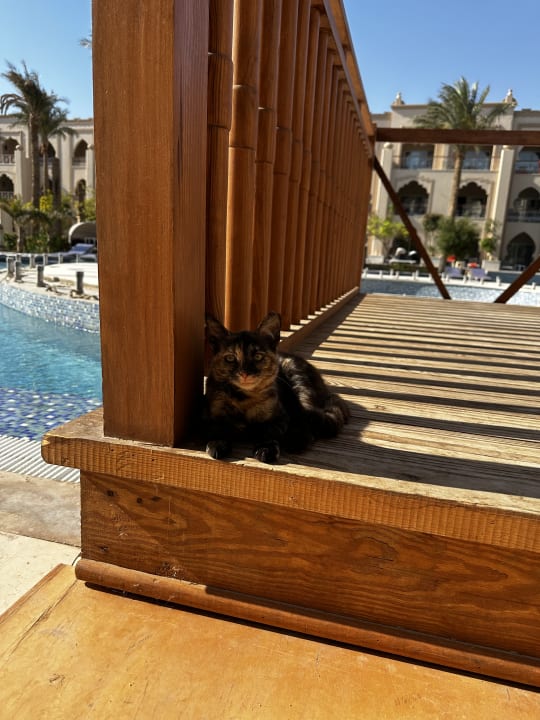 Strand The Grand Palace - Adults only