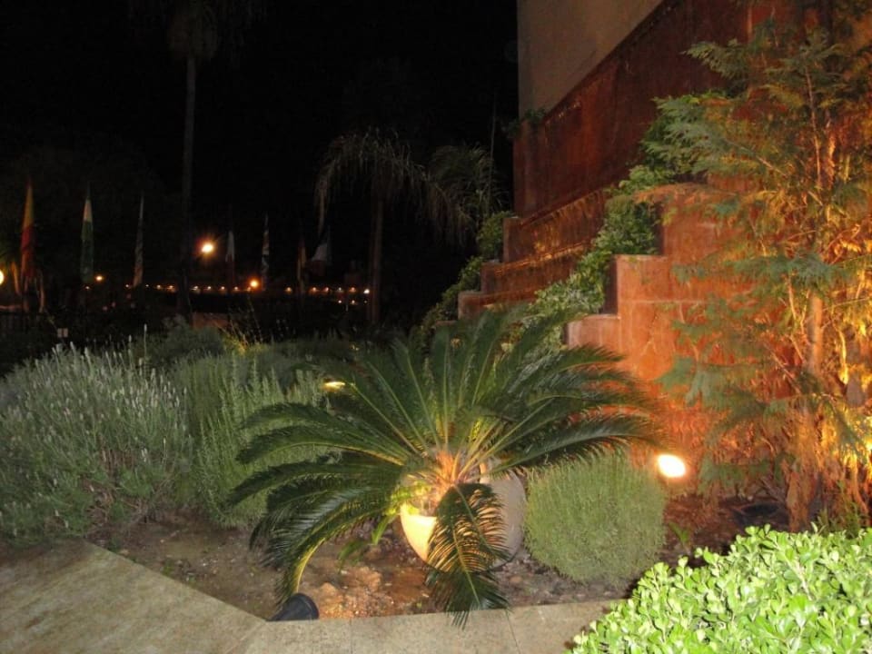 Przed wejściem BLUESEA Al Andalus