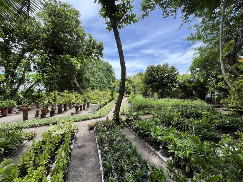 Gartenanlage NH Collection Maldives Reethi Resort
