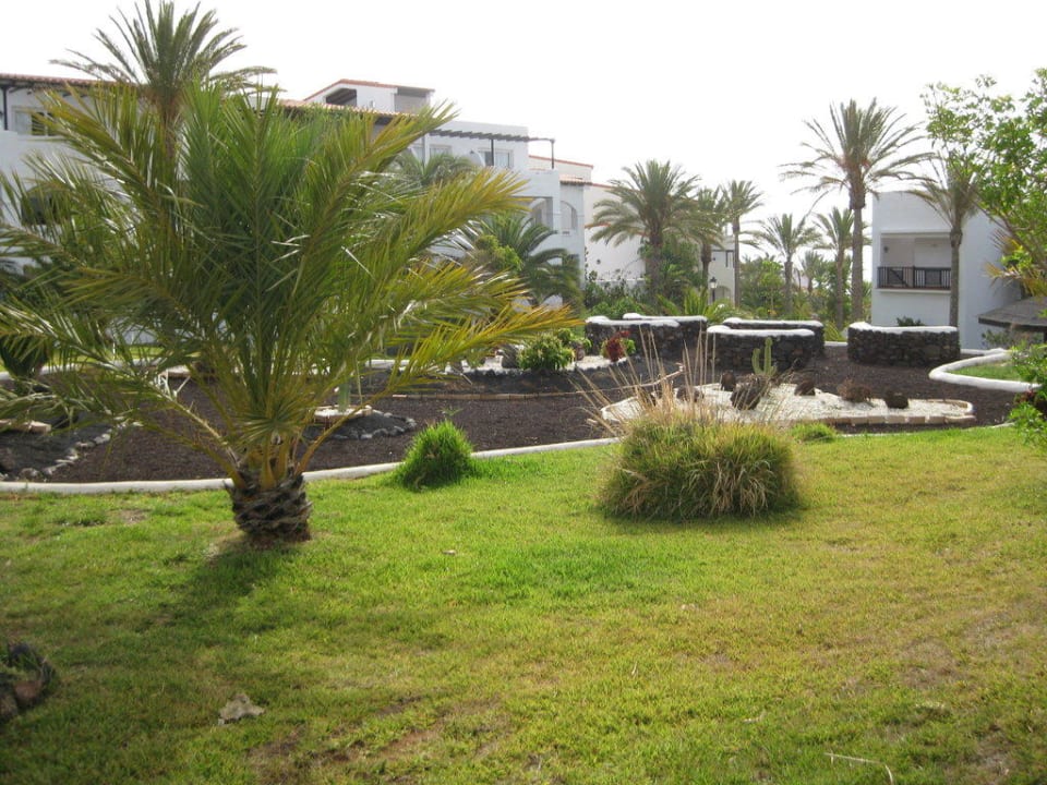 Noch mehr Garten TUI MAGIC LIFE Fuerteventura