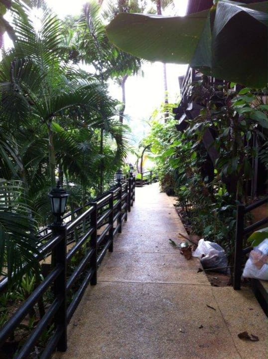 Spaziergang zu den Bungas Baan Krating Khao Lak Resort