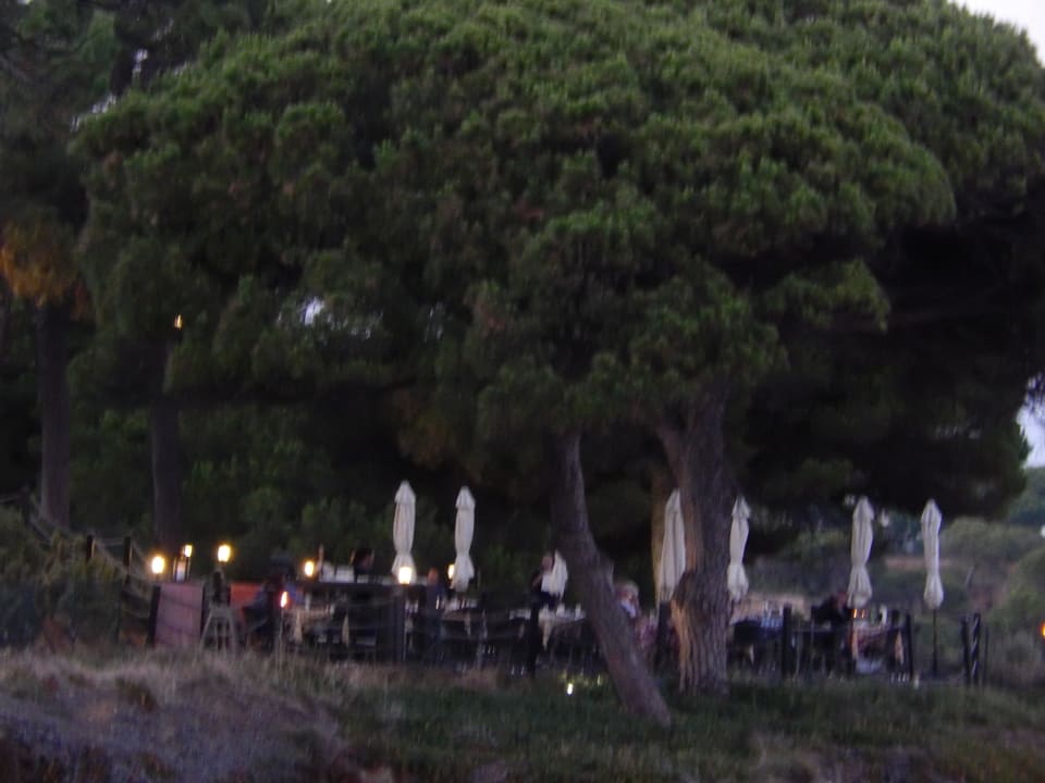 Bar PortoBay Falésia