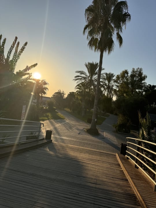 Gartenanlage Side Story Resort & Spa