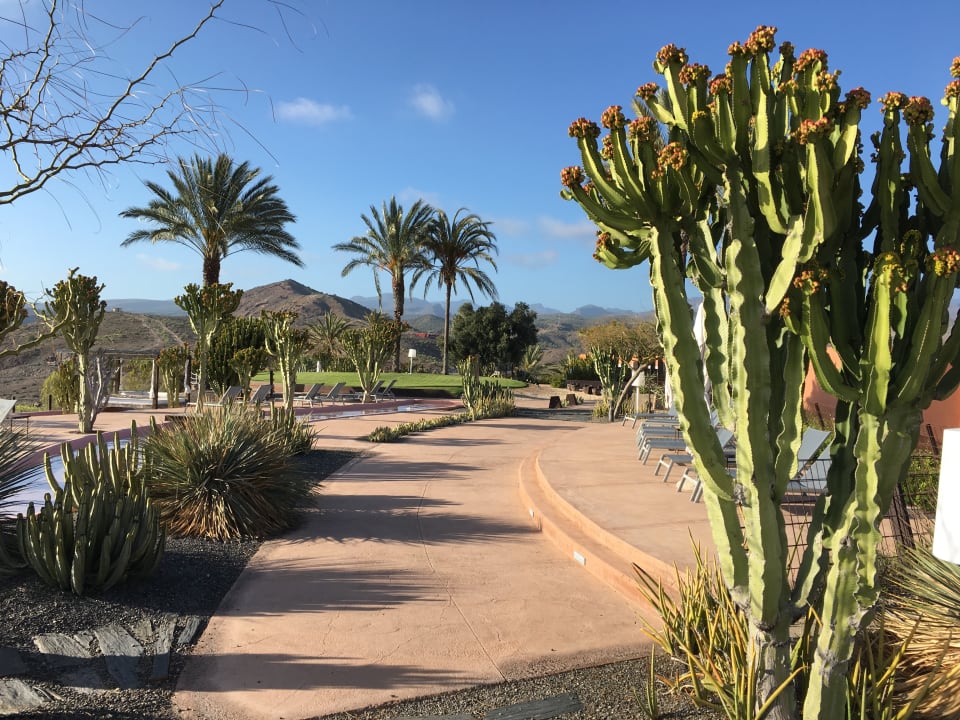 Gartenanlage Salobre Hotel Resort & Serenity