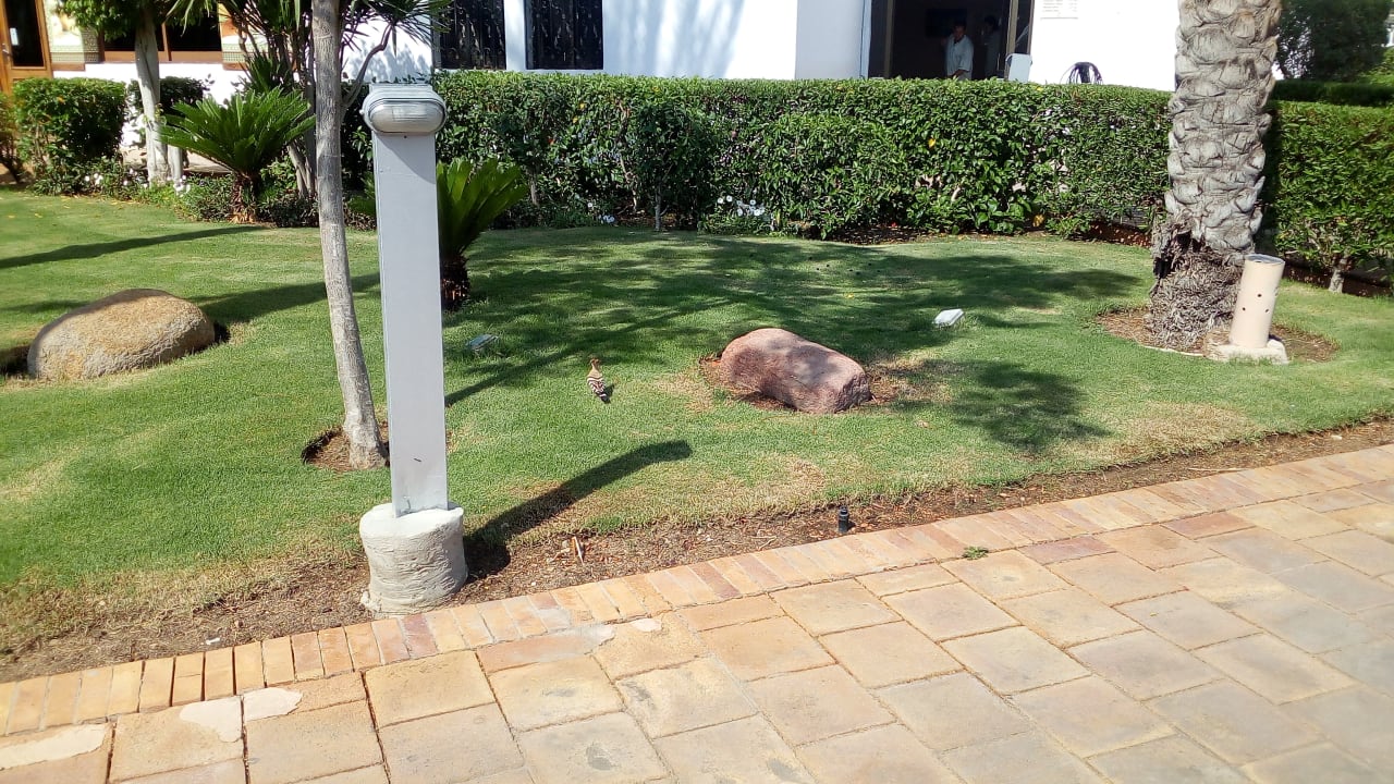 Gartenanlage Ghazala Gardens