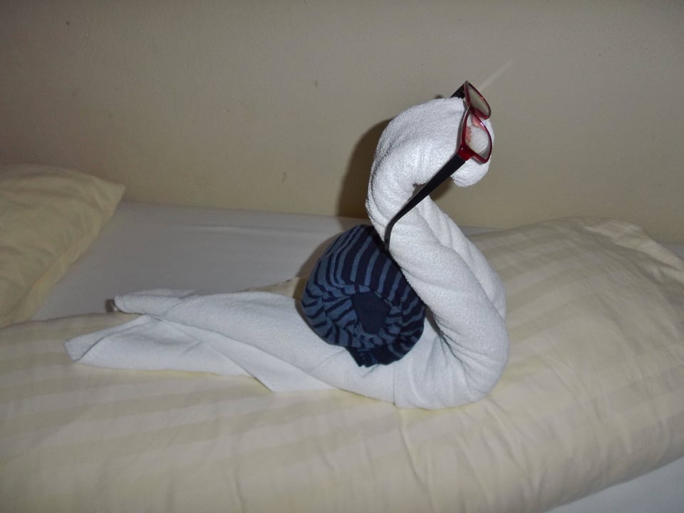 BRILLENSCHLANGE SCOL Sporthotel Zillertal