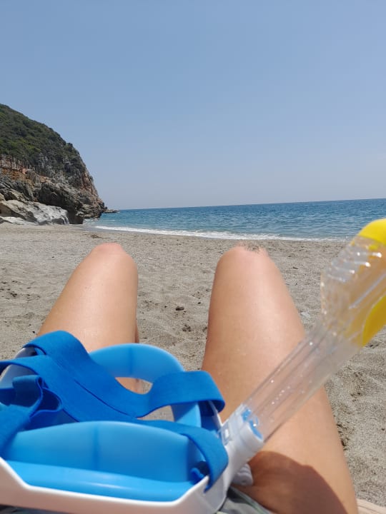 Strand Dizalya Palm Garden