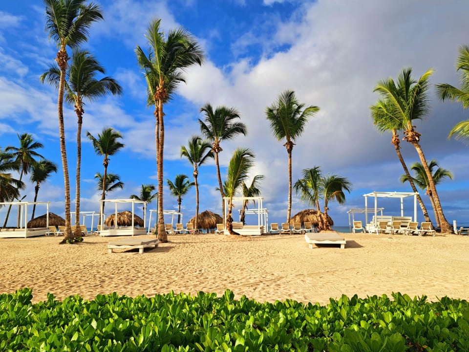 Strand Sunscape Dominicus La Romana