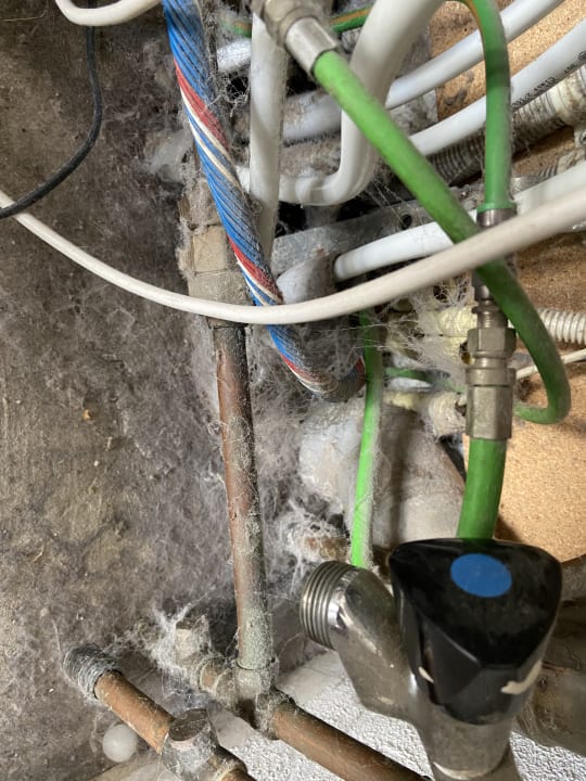 Zimmer Roompot Vakantiepark Hof Domburg