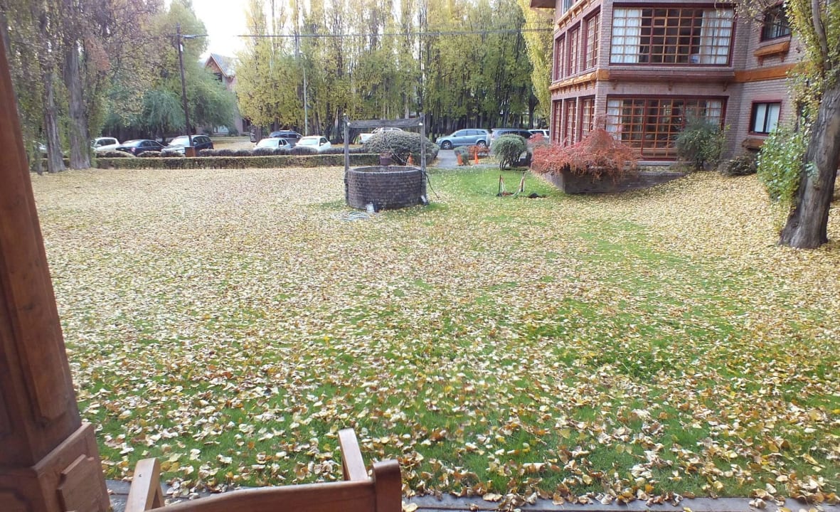 Вид из номера на внутренний двор отеля Hotel Posada Los Alamos