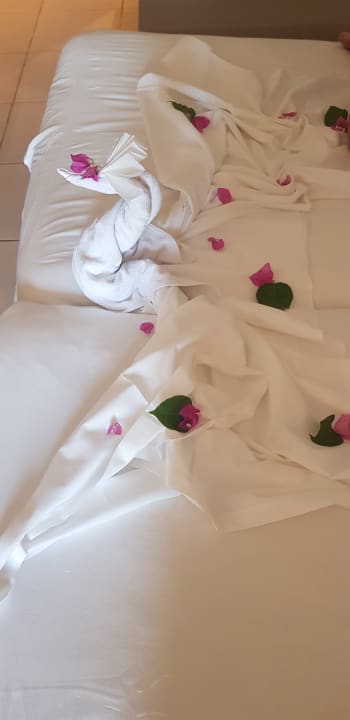 Zimmer Iberostar Waves Mehari Djerba