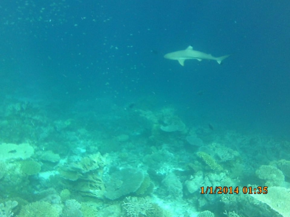 Hai ROBINSON MALDIVES