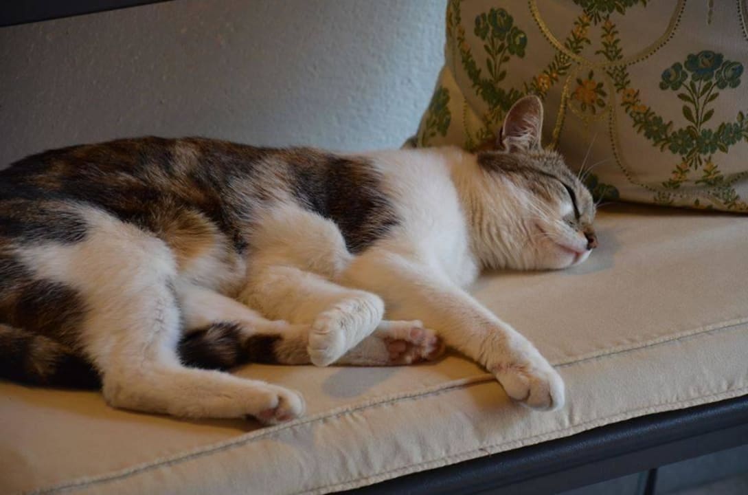 Krümel Hotel Alpenhof