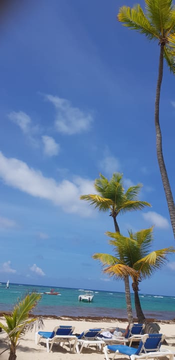 Strand Hotel Riu Palace Macao - Adults only