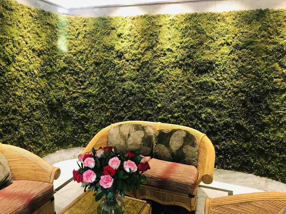 Gastro Bull Costa Canaria & Spa - Adults only