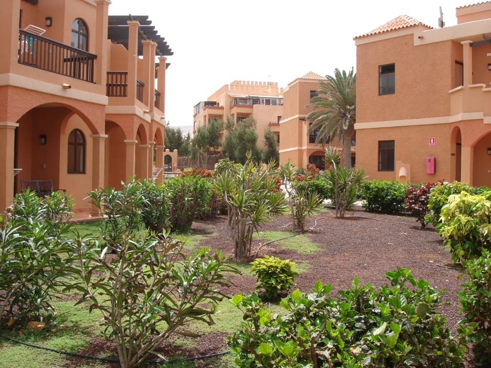 Gartenanlage Bakour Fuerteventura La Pared