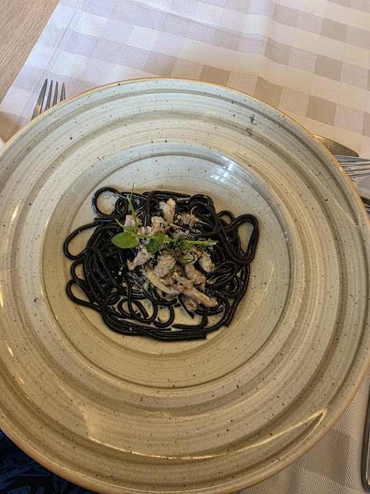 Gastro Seashell Vega