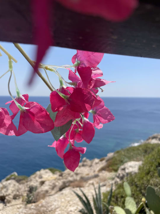 Sonstiges Hotel Kalithea Horizon Royal