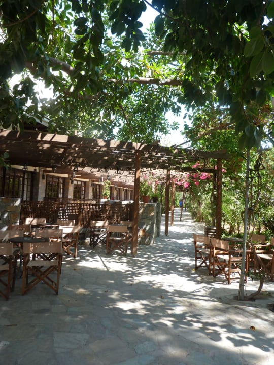 Gartenweg zum Pool Apollonia Beach Resort & Spa