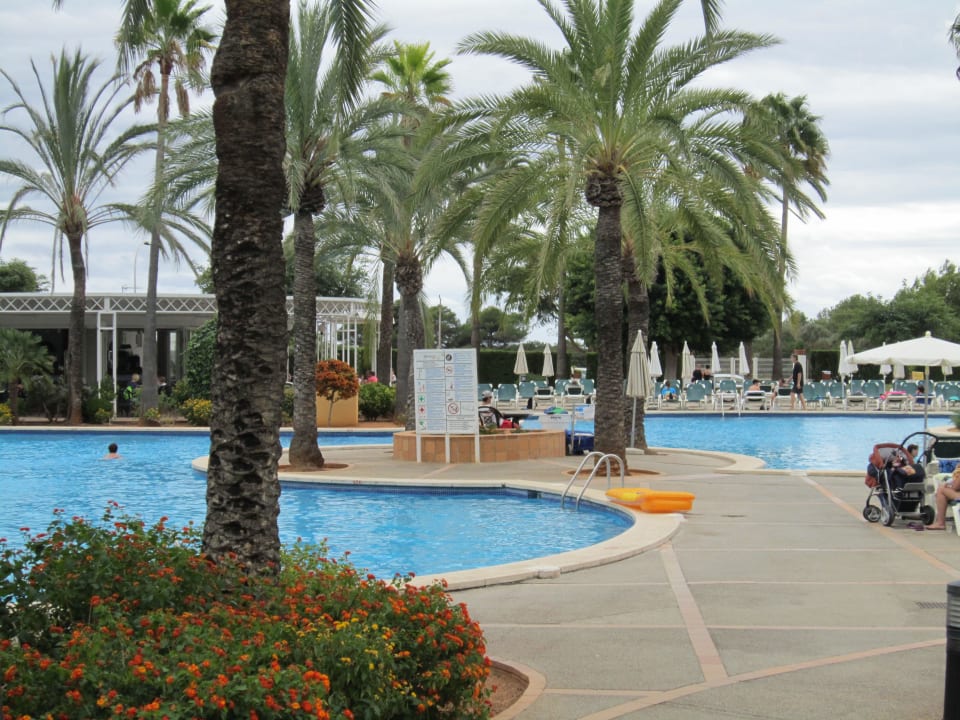 Pool Protur Vista Badia Aparthotel