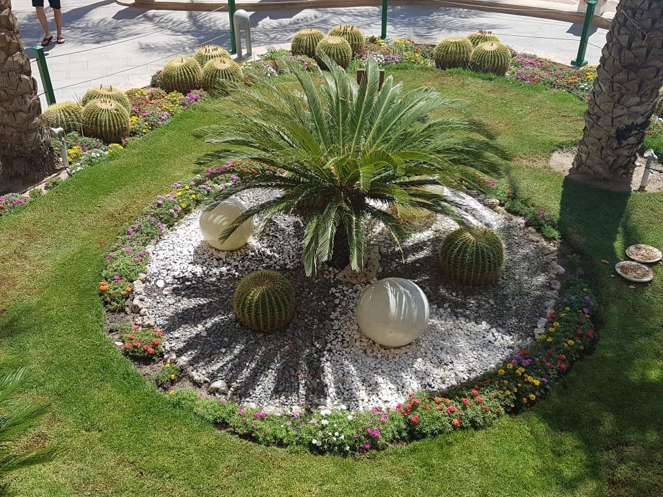 Gartenanlage Pickalbatros Palace Resort