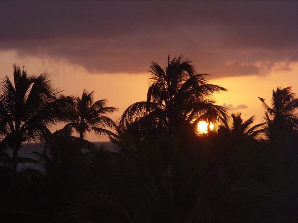 Sonnen Hotel Riu Palace Punta Cana