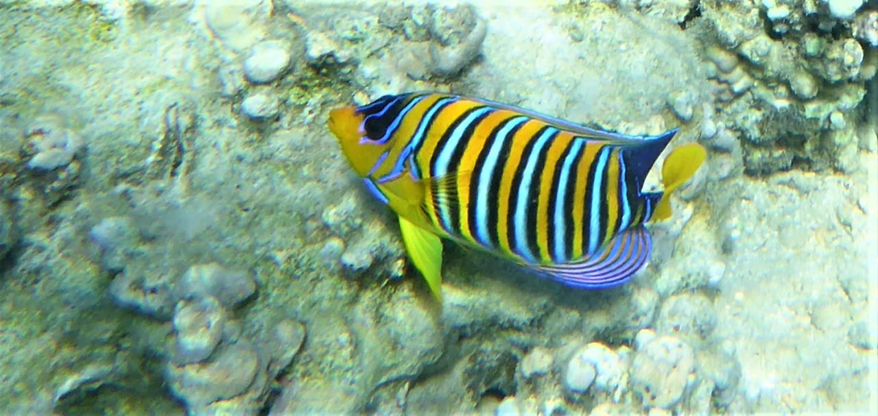 Sport & Freizeit Cleopatra Luxury Resort Makadi Bay