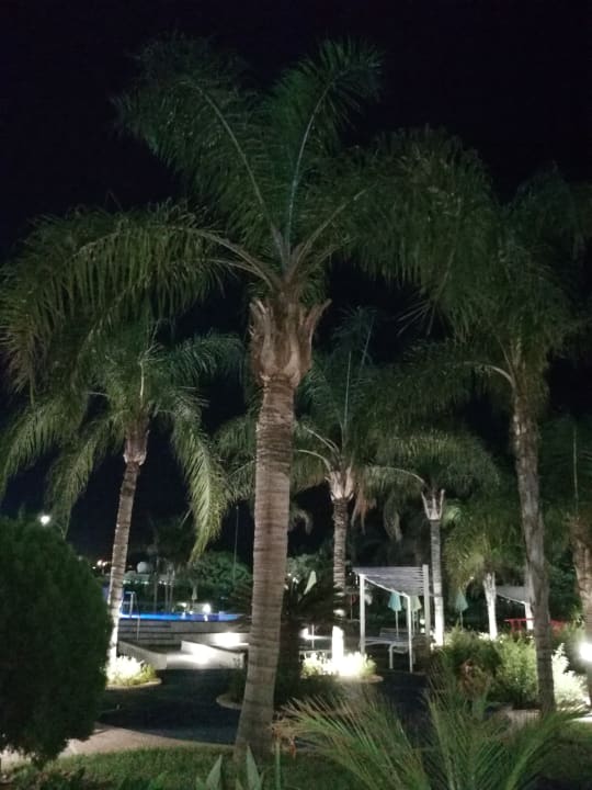 Außenansicht Faros Hotel Ayia Napa