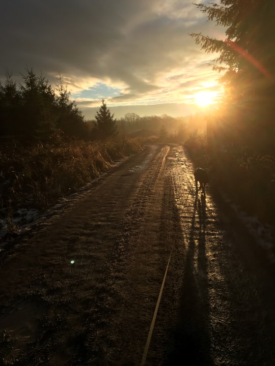 Gartenanlage Naturtraum Georgshöhe