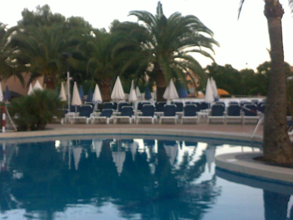 Pool und mehr Liegen Aparthotel Ciudad Laurel