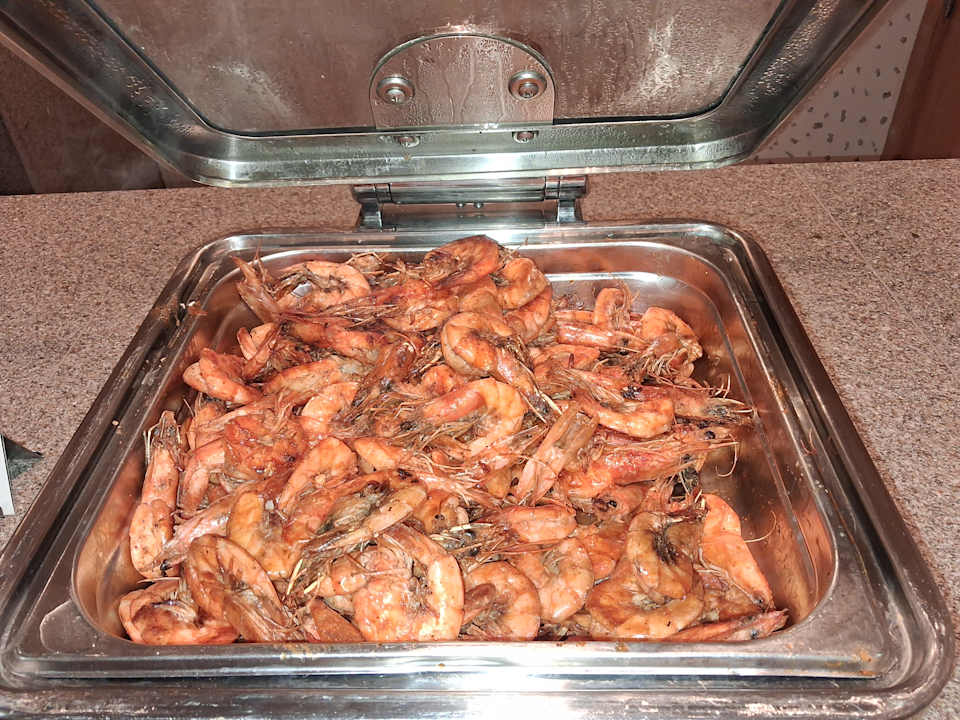 Gastro JAZ Elite Asteria