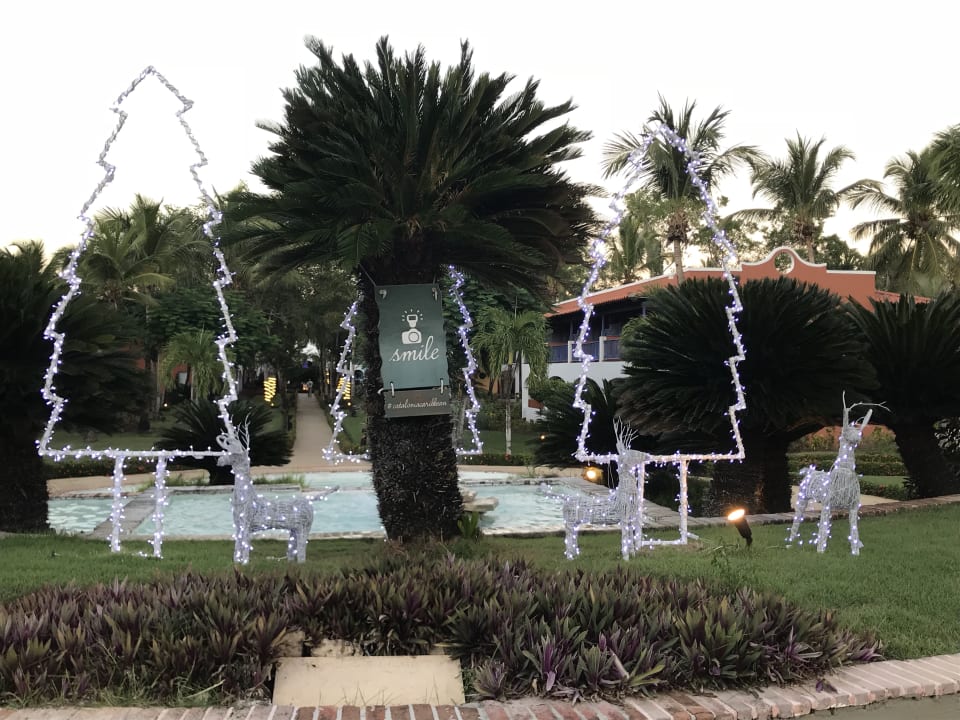 Feliz Navidad Catalonia Royal La Romana - Adults only