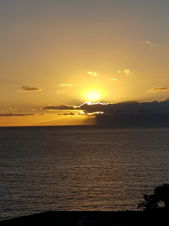 Ausblick Iberostar Waves Bouganville Playa