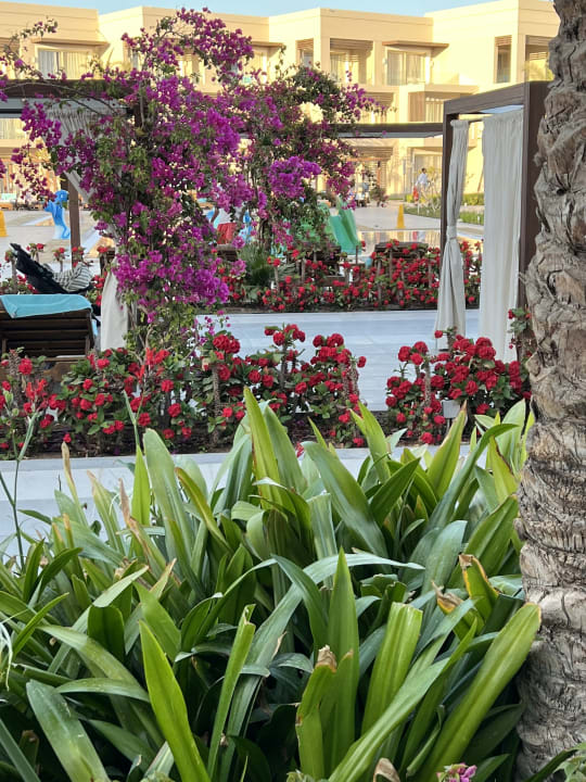 Gartenanlage Steigenberger Resort Ras Soma