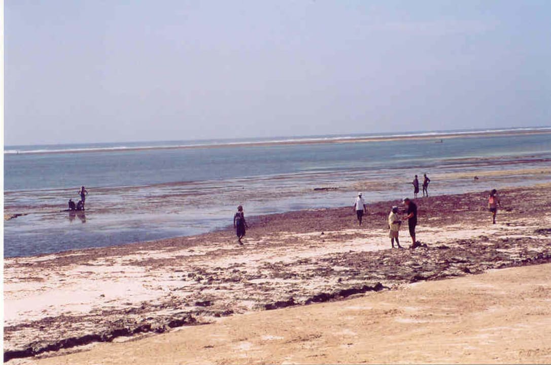 angepriesener Traumstrand Kaskazi Beach Resort