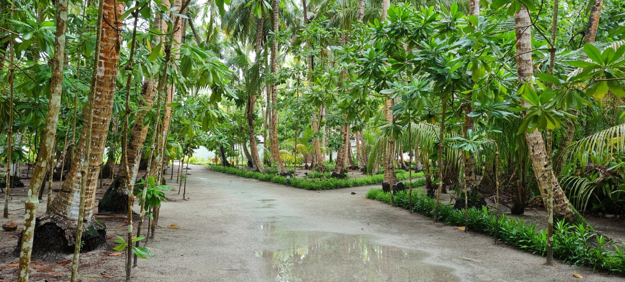 Gartenanlage Filitheyo Island Resort