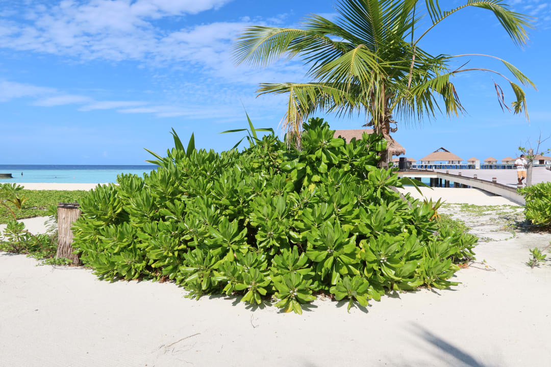 Außenansicht Cinnamon Velifushi Maldives - Free One-Way Speedboat and 02 Kids Under 12 Stay & Dine Free