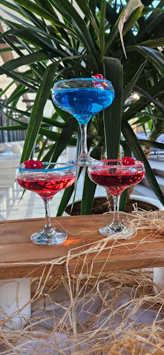 Gastro Numa Bay Exclusive Hotel