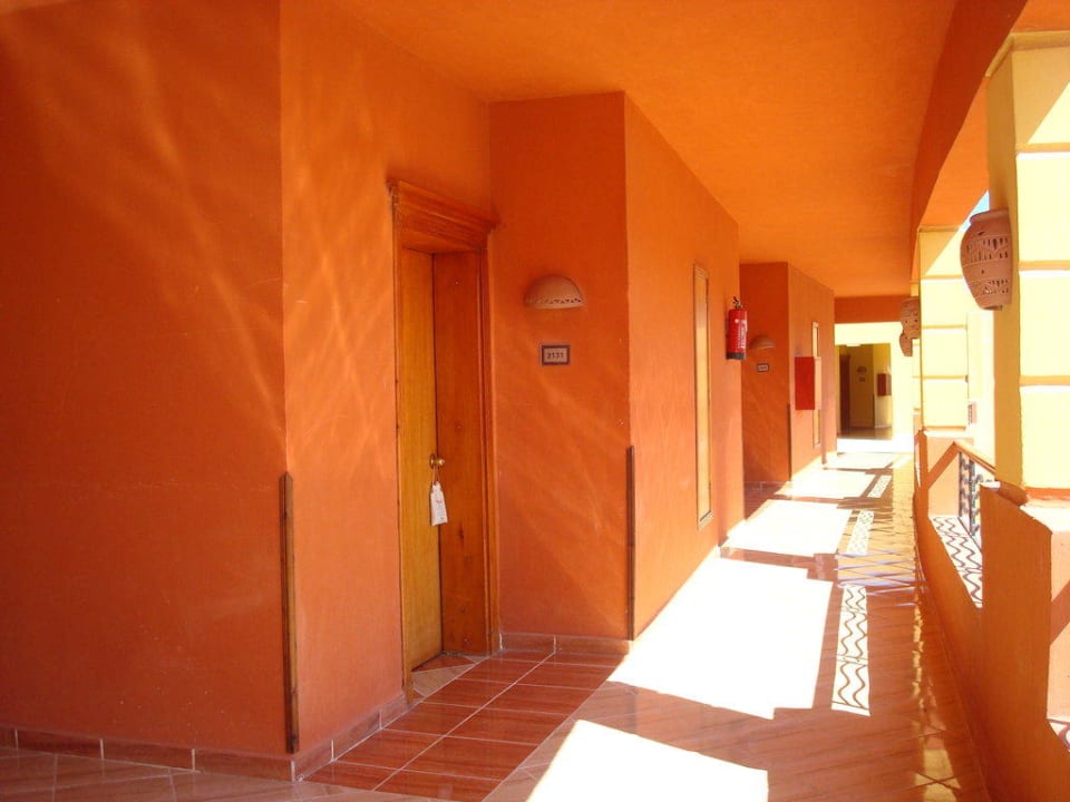 Der Gang zu den Zimmern Malikia Resort Abu Dabbab