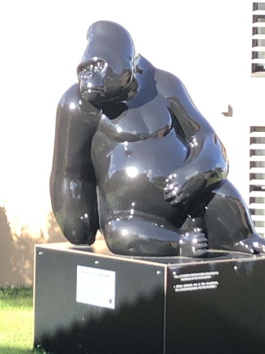 Gartenanlage Hotel Kube