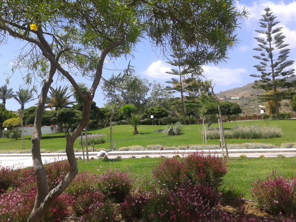 Ogród TUI BLUE Oceanis Beach and Spa Resort