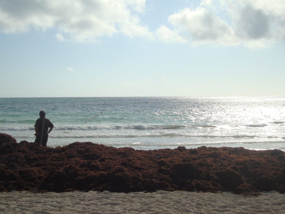 Riecht natürlich kaum Catalonia Playa Maroma
