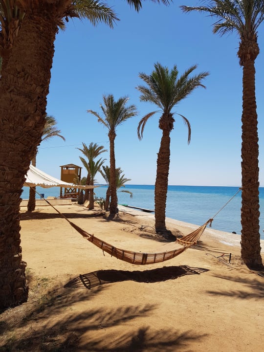 Landzunge zwischen den Buchten Palm Royale Resort - Soma Bay