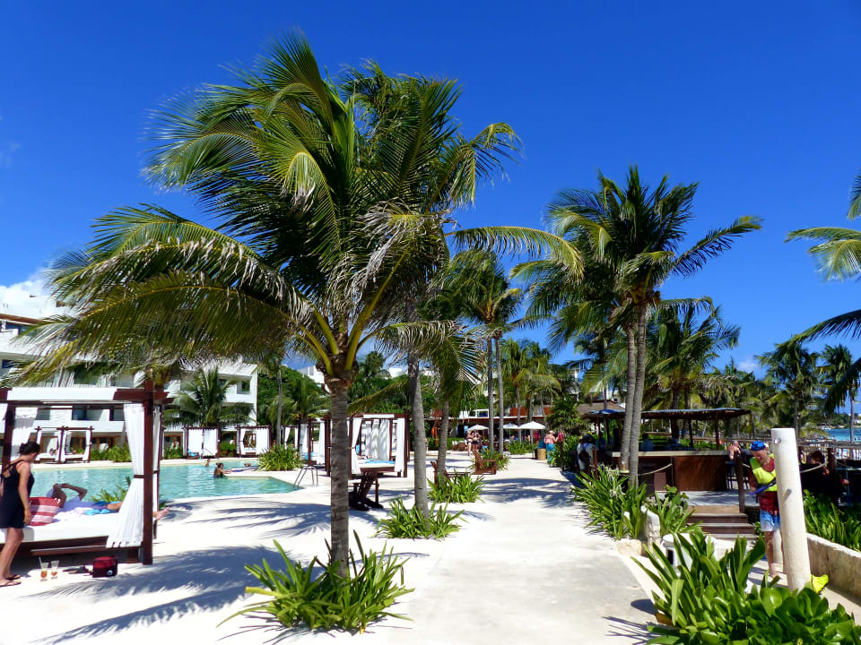 Pool Akumal Bay Beach & Wellness Resort