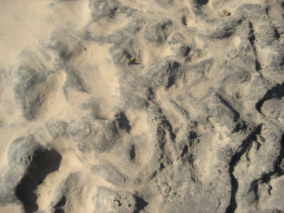 Dunkler Sand Iberostar Selection Fuerteventura Palace