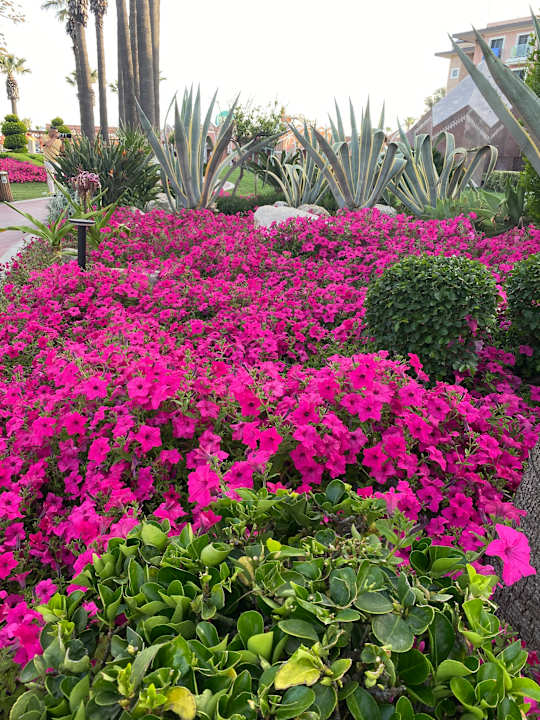 Gartenanlage Megasaray Club Belek