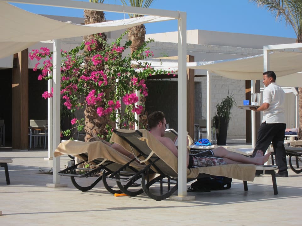 Poolservice Steigenberger Makadi Hotel - Adults only