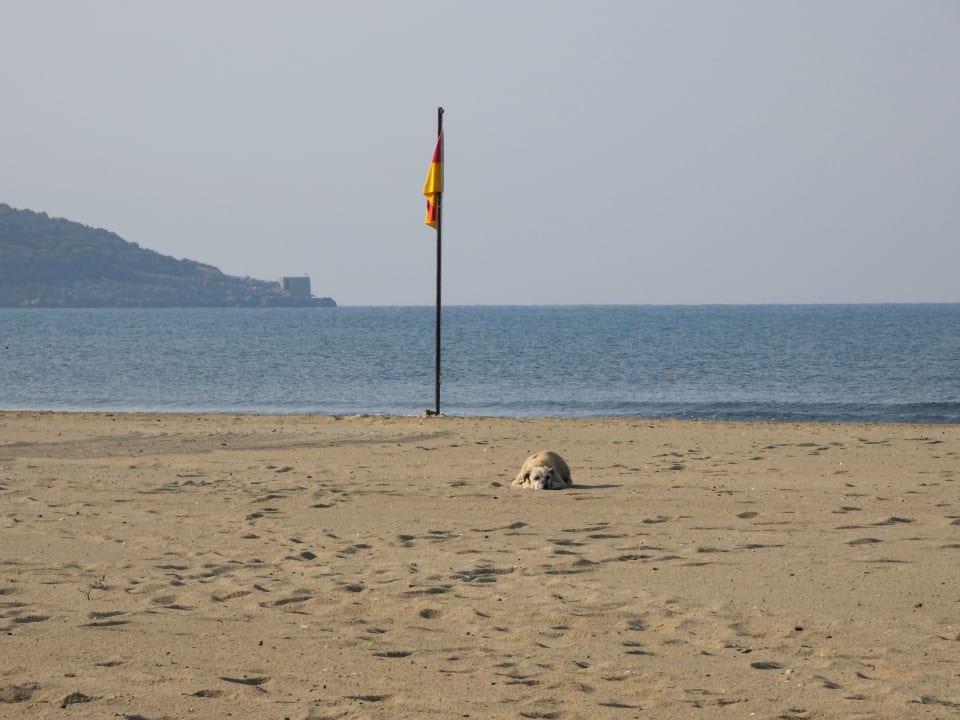 Strand Korumar Ephesus Beach & Spa Resort